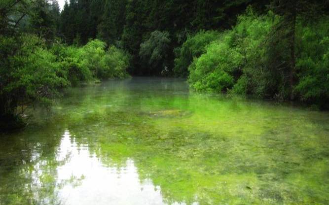 梦见水洒了预示着什么（水洒了是吉兆还是凶兆）
