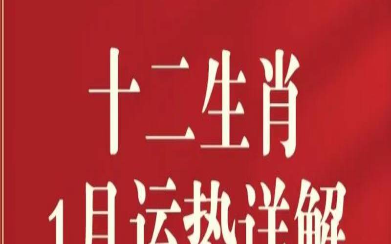 2024年1月3日十二生肖运势解析（2024年1月1日出生）