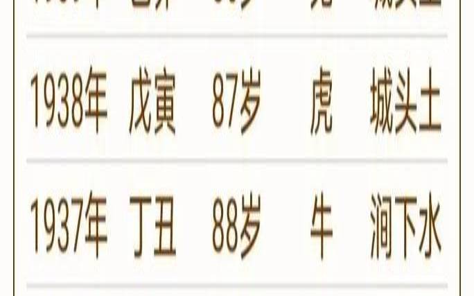 1980年属猴男2023年怎么样（属猴哪一年运势最佳）