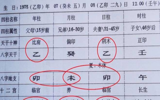 如何从八字断兄弟姐妹的排行（八字断兄弟姐妹个数高手）