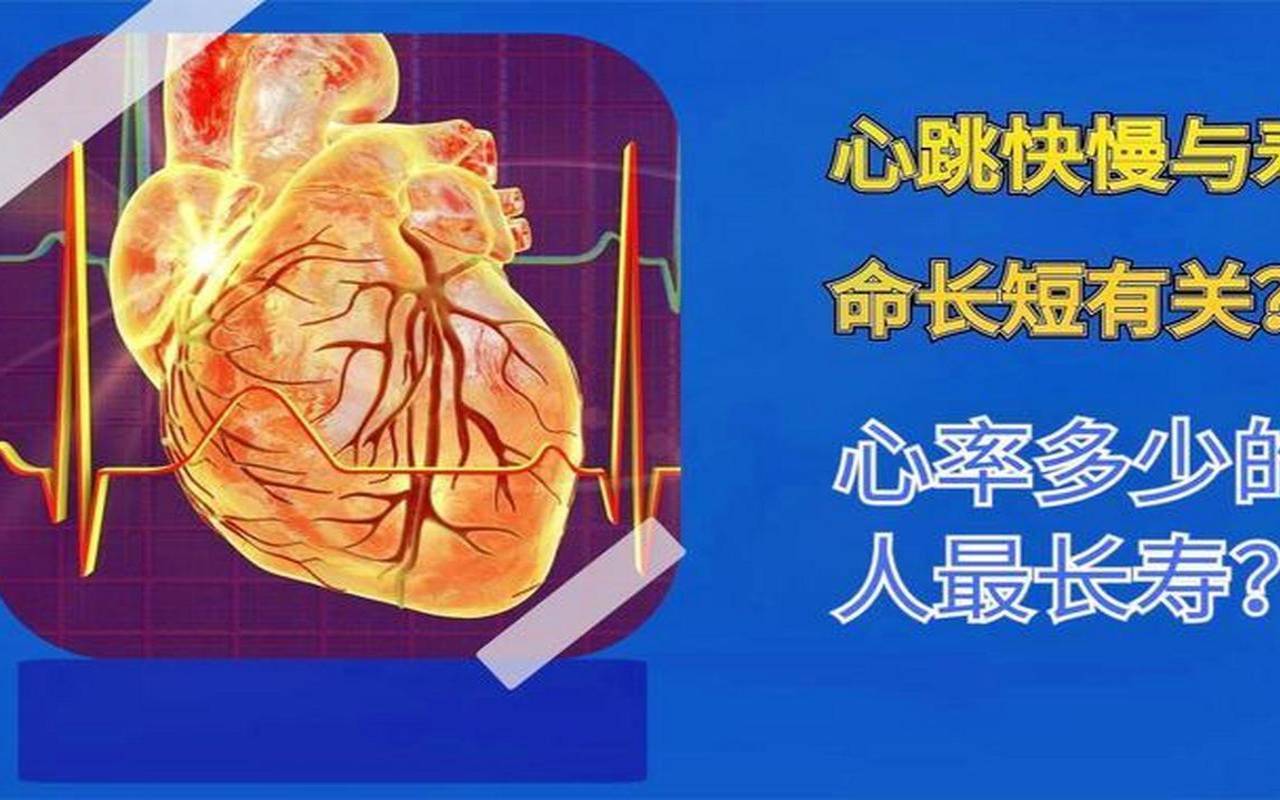 梦见心跳（梦见心跳声音很大）