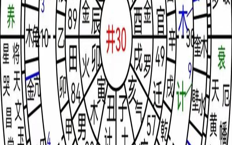 贵妇人的八字特征（八字排盘-排八字软件）