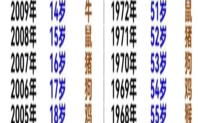 下午2点出生的龙宝宝的运势解析（下午2点出生的人）