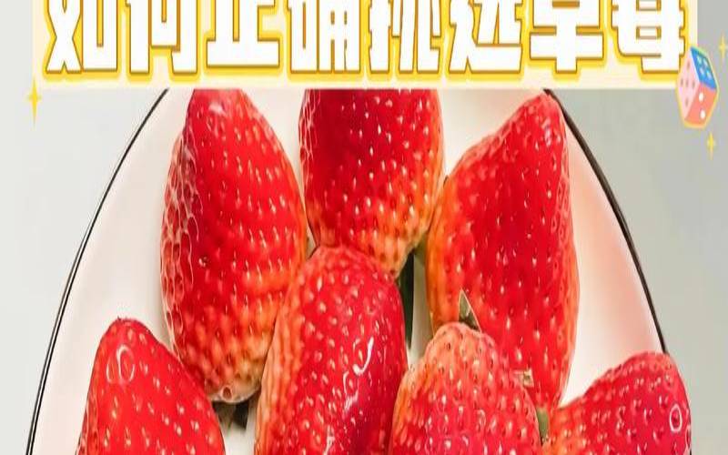 草莓是怎么找出来的（种草莓的方法）