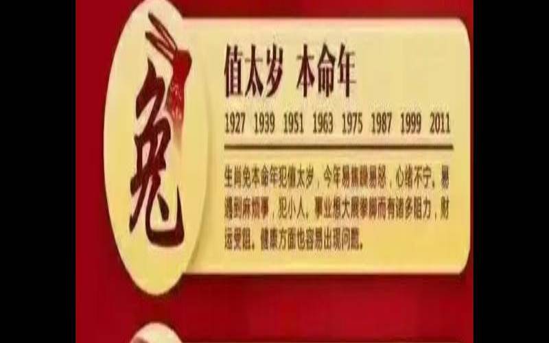 属龙的人的婚姻状况（属龙的婚姻状况）