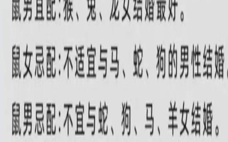 女鼠男狗的婚姻怎么样（女鼠与男狗相配婚姻幸福吗）