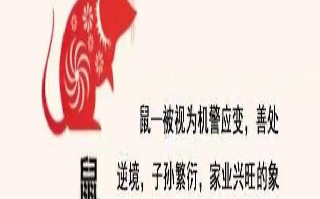 2022未来5年财运最好的生肖（2021年运势最好的生肖马）
