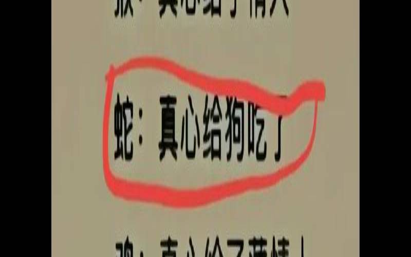 2014生肖马2021年运势大全（蛇和马属相犯冲吗）