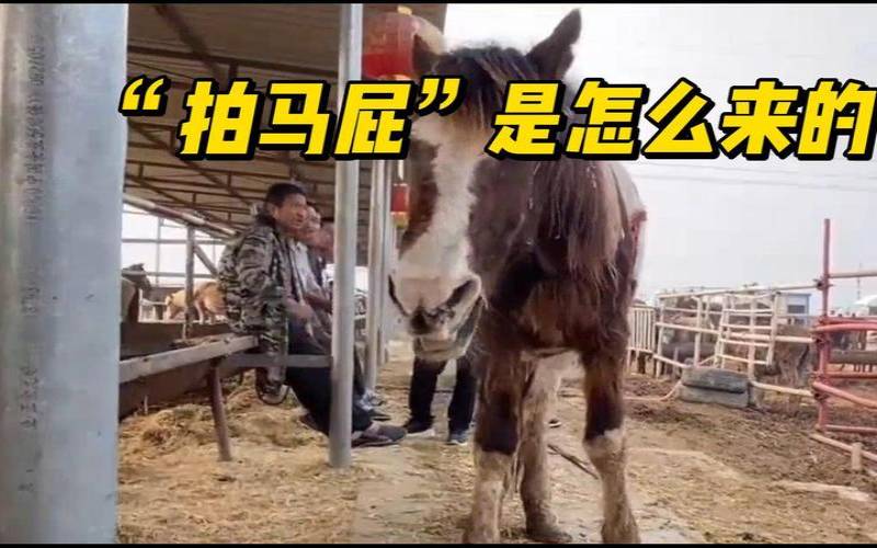 真傻这些生肖拍马屁总拍到马腿上（12生肖拍马屁的动物是什么）