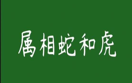 属虎男和属龙女在一起好不好（属虎男和属龙女相配吗）