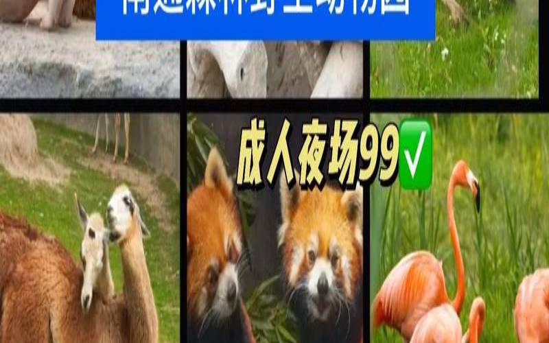 羲邑2018年农历七月生肖猴运势（2018年农历7月份狗宝宝）