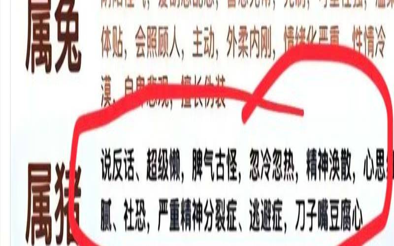 2023年属鼠的人运程豆瓣网（2020属猪的运势和财运）
