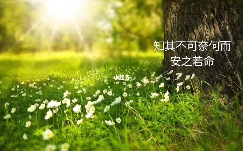 人的财运是命中注定的吗（每个人的财运是命中注定吗）