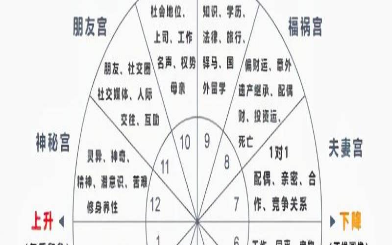 揭开占星之谜（全球最顶级的占星师）