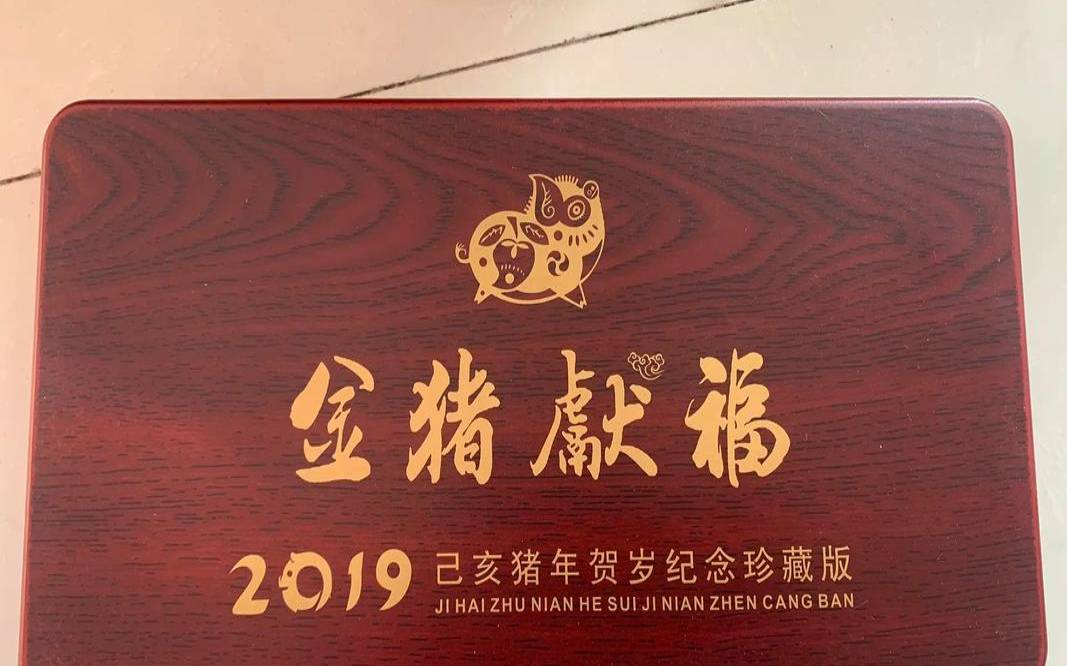 2019己亥猪年是什么命（辛亥年属猪人今年运气）