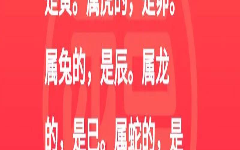 属狗和属猪合不合（属狗的与属猪的合不合）