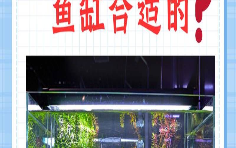 鱼缸的风水鱼缸摆放的位置（鱼缸摆放什么位置风水好）
