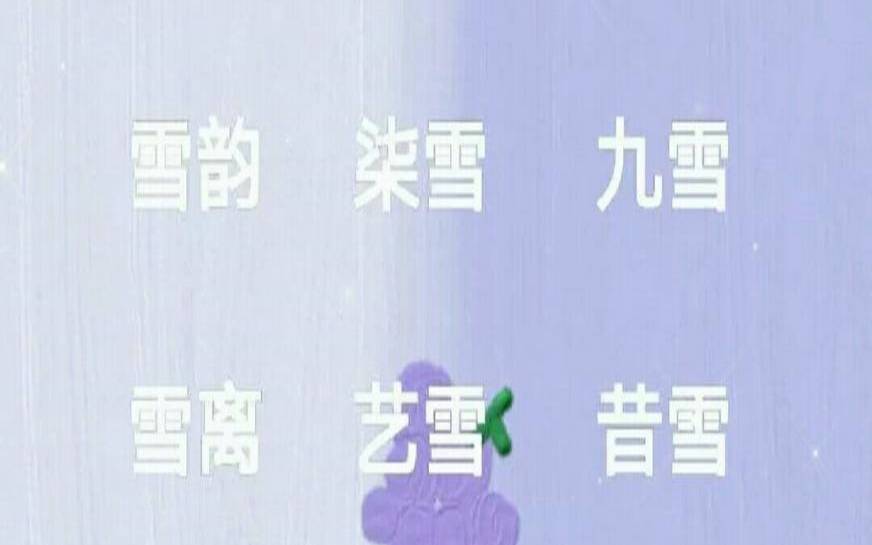 雪字女孩高雅名字（清纯好听有雪字的网名）