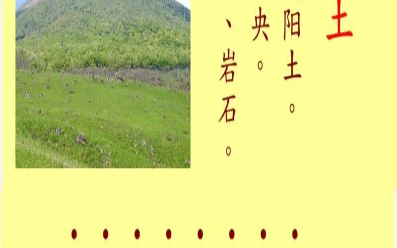 八字没有土怎么补（八字没有土怎么办）