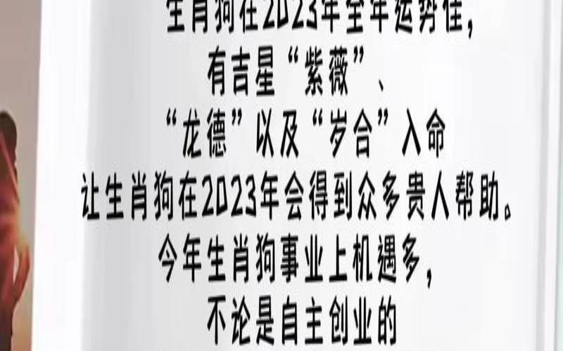 2023年属狗的运势怎么样（2023年属狗下半年要出大事）