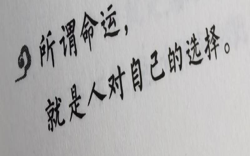工作不易唯有努力（努力和回报的经典语录）
