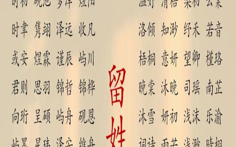 十一月十四出生的女孩（男孩名字大全2019属猪）