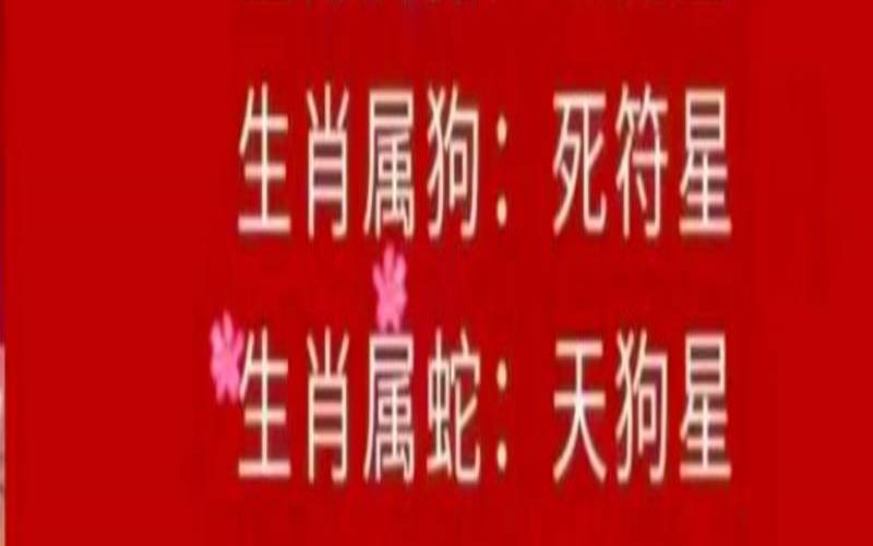 2021年1月3日属猪运势（卜易居属猪人今日运势）