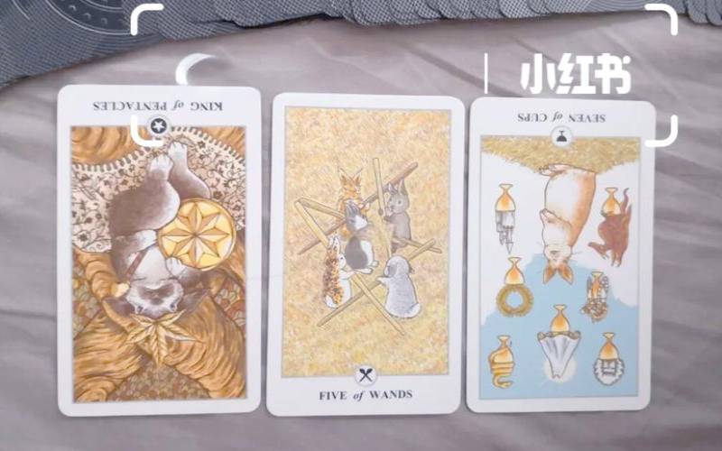塔罗占卜面试成功吗（塔罗占卜三年后会有多富有）