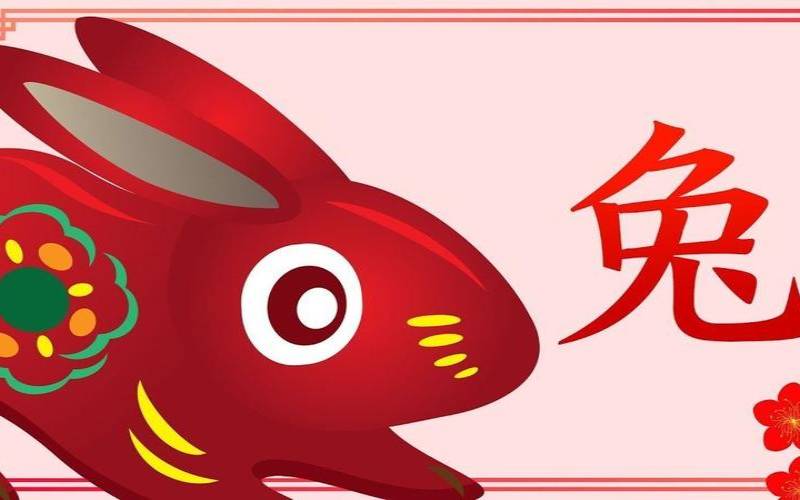 属兔人2019的财运（属羊的贵人是什么属相）