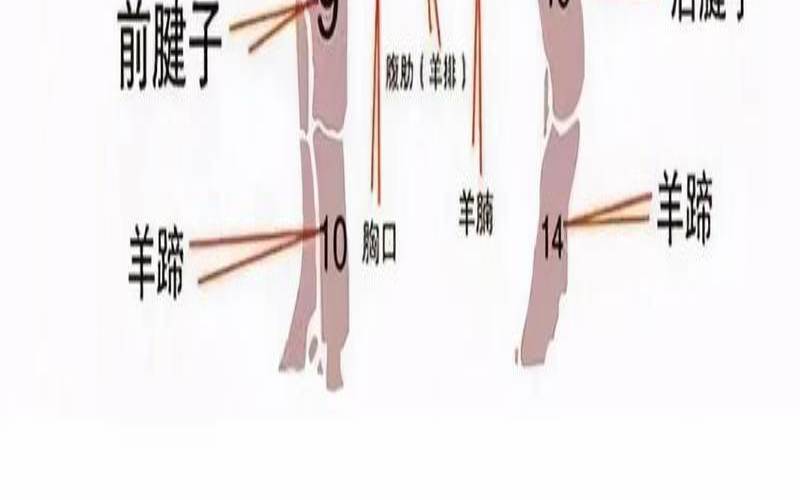 生肖羊2021年3月份运势（属羊的为什么不可以吃羊肉）