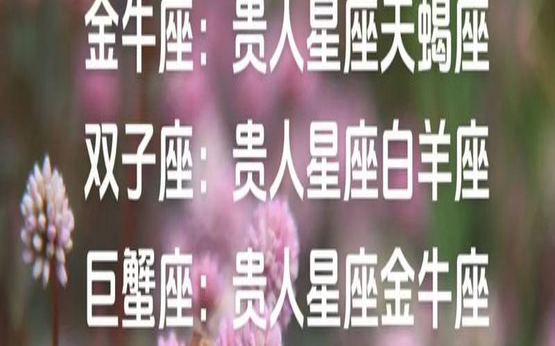 属虎射手座2021下半年运势（金牛座今日运势）