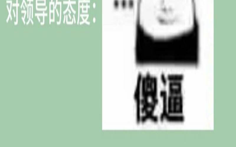 面对他人的挑衅（测试别人敢不敢惹你）