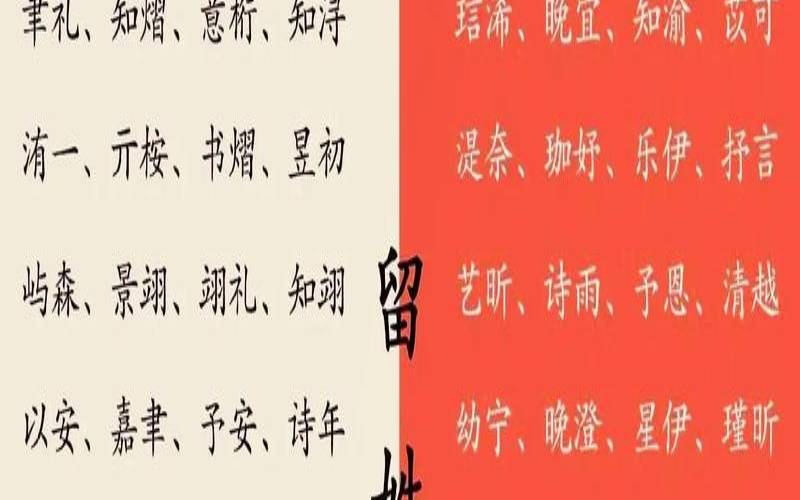 作文给宝宝起名取名字好吗（给自己取个名字）