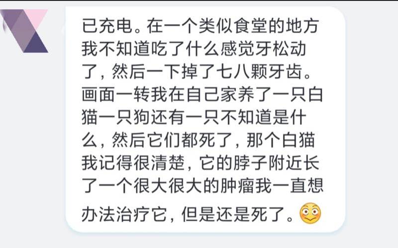 梦见白猫什么意思（梦见白猫是什么征兆）