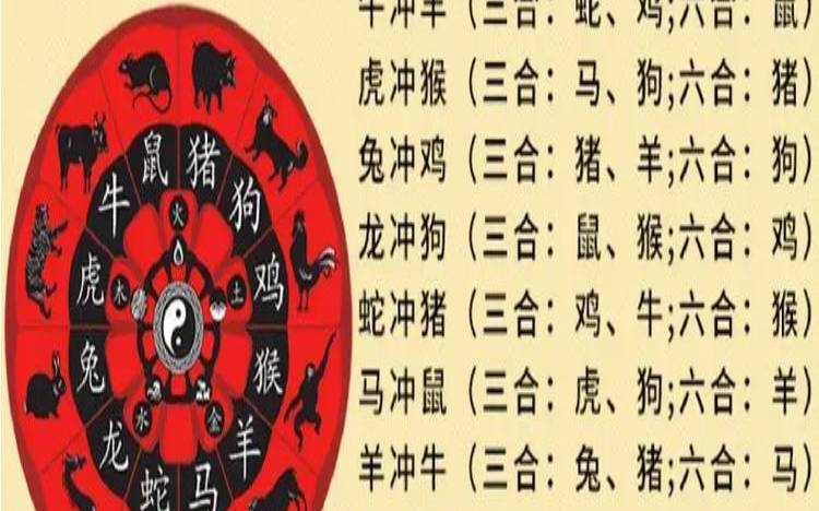 生肖蛇与其它生肖关系（蛇和老虎属相合不合）