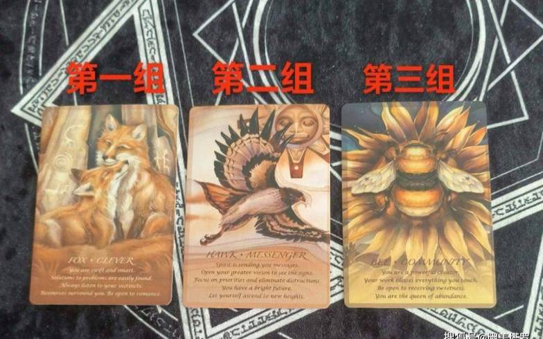 塔罗占卜情感问题举例（塔罗占卜他还想复合吗）