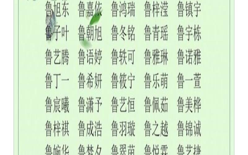 姓鲁女孩时尚的名字两个字（鲁姓女宝宝取名）