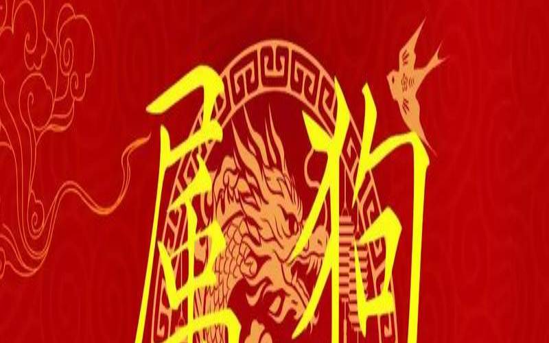 2023年生肖狗的全年运势（68年男猴在2024年怎么样）