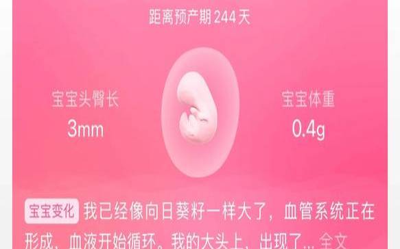 孕妇梦见手机被偷生男生女（孕妇梦见钱被偷生男吗）