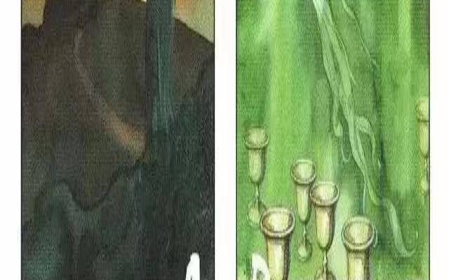 塔罗占卜缘分（塔罗占卜准不准）