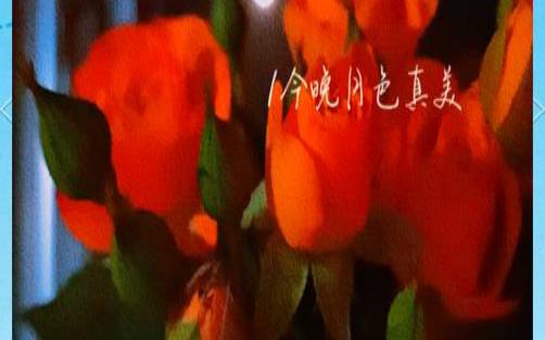 梦见花朵凋零了（梦到花枯萎周公解梦）