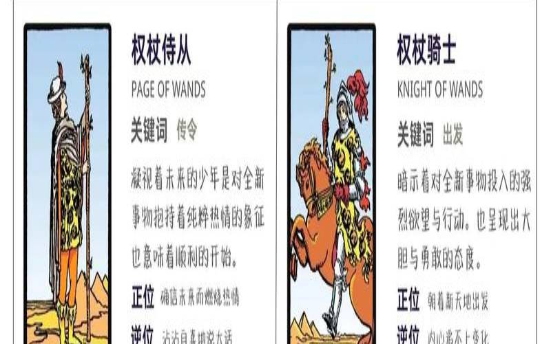 塔罗权杖5的意思（权杖五逆位建议）