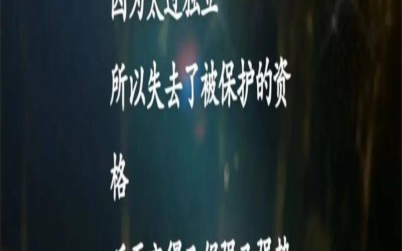 面对命运的安排我们怎么做（谈谈你对命运的看法）