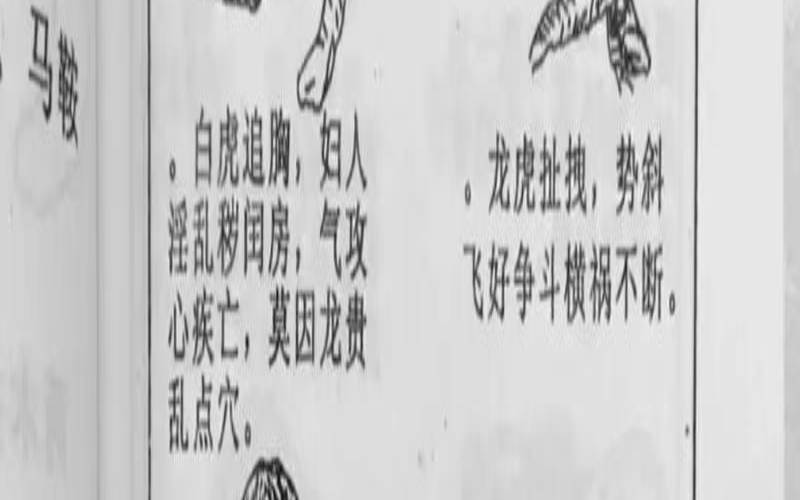 哪些风水会影响财运（今日运程每日运势）
