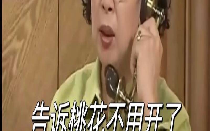 迟迟不来的春天（告诉桃花不必开了）