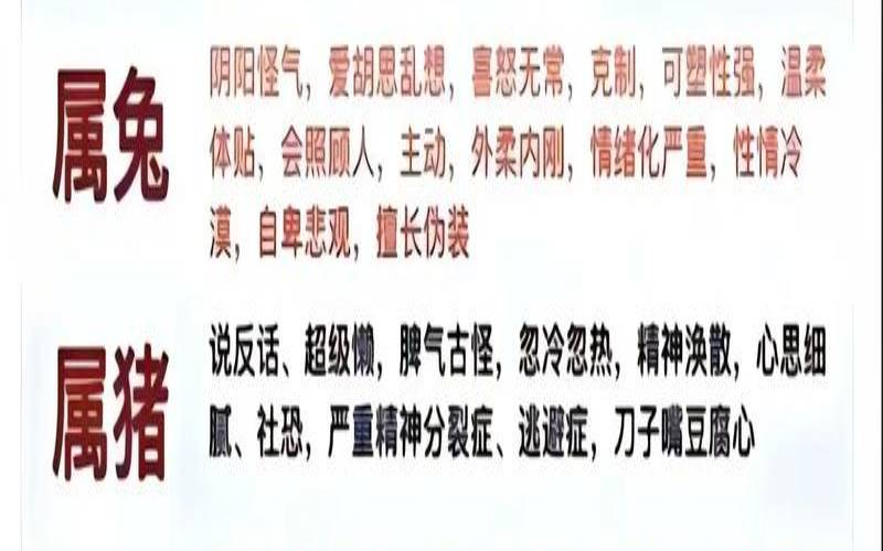 生肖狗与狗相配吗（十二生肖属性）