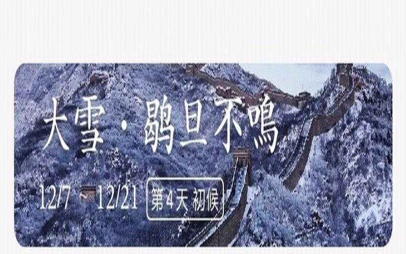 2020年11月17日小运播报（2022年1月11日出生）