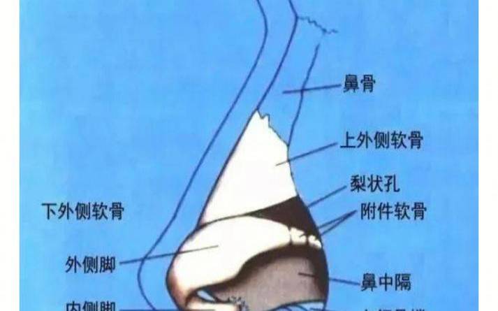 梦见鼻梁鼻柱有个洞（梦见鼻骨出来了）