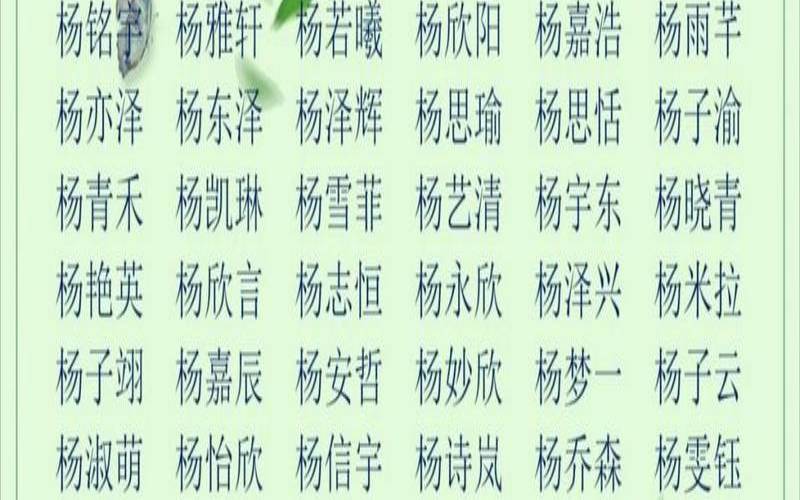 杨姓双胞胎起名字大全（杨姓双胞胎女孩取名有内涵）