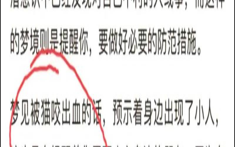 女人梦见猫咬人是什么预兆（小猫咬人怎么教育）